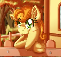 Size: 900x844 | Tagged: safe, artist:inuhoshi-to-darkpen, derpibooru import, carrot top, golden harvest, ear fluff, fence, unshorn fetlocks