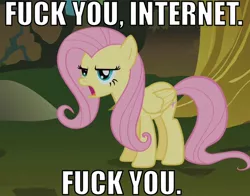 Size: 700x550 | Tagged: annoyed, bridle gossip, caption, cropped, derpibooru import, edit, edited screencap, flutterguy, fluttershy, image macro, internet, reaction image, safe, screencap, solo, vulgar