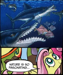 Size: 394x470 | Tagged: artist needed, derpibooru import, edestus, exploitable meme, fluttershy, idw, meme, nature is so fascinating, safe, shark, source needed