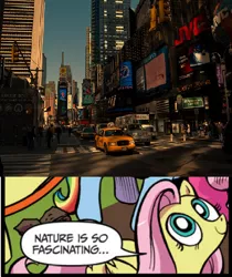 Size: 394x470 | Tagged: city, derpibooru import, exploitable meme, first world anarchist, fluttershy, human, idw, meme, nature is so fascinating, new york, safe, taxi