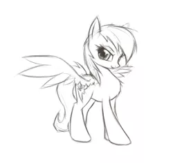 Size: 469x442 | Tagged: safe, artist:fajeh, derpibooru import, rainbow dash, pegasus, pony, black and white, female, grayscale, mare, monochrome, simple background, sketch, solo, spread wings, white background, wings