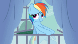 Size: 500x281 | Tagged: animated, derpibooru import, rainbow dash, safe, scrunchbow dash, scrunchy face, solo, spike at your service