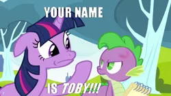 Size: 640x360 | Tagged: caption, derpibooru import, edit, editception, edited screencap, hurricane fluttershy, italian twilight, roots, screencap, semi-grimdark, spike, spikeabuse, twilight sparkle