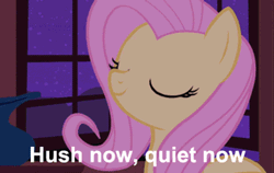 Size: 323x204 | Tagged: animated, cute, derpibooru import, fluttermom, fluttershy, hush now quiet now, image macro, lullaby, safe, screencap, shyabetes, singing, solo, stare master, subtitles