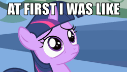 Size: 640x360 | Tagged: animated, caption, derpibooru import, edit, edited screencap, female, filly, filly twilight sparkle, image macro, reaction image, safe, screencap, solo, the cutie mark chronicles, twilight sparkle, younger