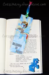 Size: 491x750 | Tagged: blind bag, bookmark, derpibooru import, irl, merchandise, photo, rainbow dash, safe, solo, toy