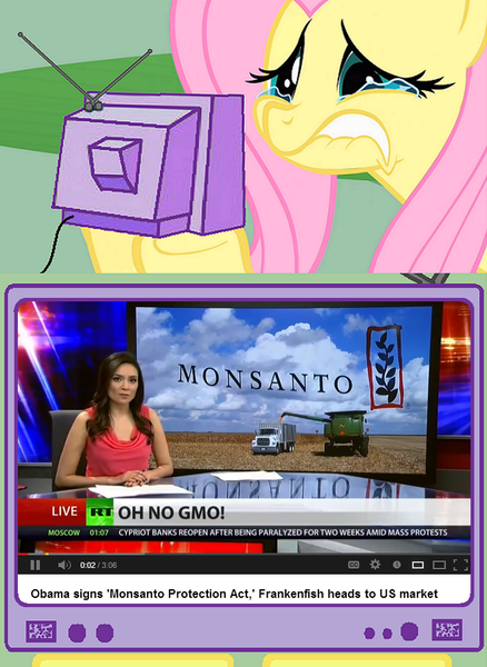 Size: 684x936 | Tagged: derpibooru import, environmentalism, exploitable meme, fluttercry, fluttershy, hippie, monsanto, news, politics, russia today, safe, tv meme