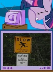 Size: 563x771 | Tagged: derpibooru import, exploitable meme, facehoof, fail, juxtaposition, juxtaposition fail, meme, obligatory pony, semi-grimdark, sign, tv meme, twilight sparkle