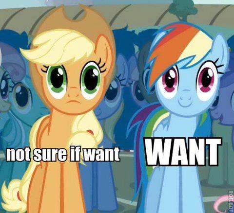 Size: 480x438 | Tagged: applejack, derpibooru import, image macro, not sure if want, rainbow dash, reaction image, safe, varying degrees of want, want