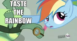 Size: 622x338 | Tagged: safe, derpibooru import, rainbow dash, tank, affection, kissing, licking, pun