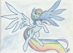 Size: 3728x2720 | Tagged: safe, artist:arxuicy, derpibooru import, rainbow dash, solo