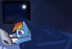 Size: 800x550 | Tagged: safe, artist:happyendingfactory, derpibooru import, rainbow dash, bed, blanket, book, moon, moonlight, night, reading, solo