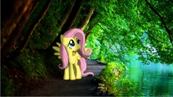 Size: 1280x720 | Tagged: artist:colorfulbrony, derpibooru import, fluttershy, path, ponies in real life, river, safe, shadow, stream, tree