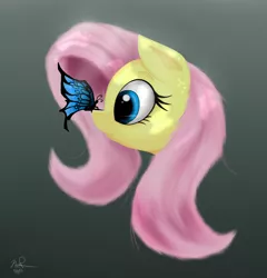 Size: 682x711 | Tagged: artist:ephemurai, artist:joey darkmeat, butterfly, derpibooru import, fluttershy, safe, solo