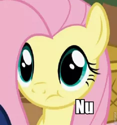 Size: 452x482 | Tagged: derpibooru import, fluttershy, frown, image macro, no, nu, reaction image, roflbot, safe, solo, :t