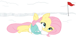 Size: 841x463 | Tagged: safe, artist:carnifex, artist:luisfdm, derpibooru import, edit, fluttershy, rainbow dash, pegasus, pony, animated, blinking, carnifex is trying to murder us, clothes, coat, cute, daaaaaaaaaaaw, ear twitch, female, flag, hnnng, jacket, mare, rainbow trail, shyabetes, side, snow, snowboard, snowboarding, tail wag, weapons-grade cute, winter outfit