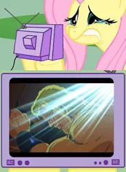 Size: 563x771 | Tagged: crying, derpibooru import, exploitable meme, feels, fluttercry, fluttershy, hokuto no ken, manly tears, safe, souther, thouther, thouzer, tv meme