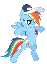 Size: 1403x1872 | Tagged: safe, artist:masterrottweiler, derpibooru import, rainbow dash, pony, may the best pet win, bipedal, hat, puffed chest, rainbow dashs coaching whistle, simple background, transparent background, vector, whistle, whistle necklace