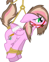 Size: 592x743 | Tagged: artist:pinkiepizzles, ballgag, bondage, bound wings, bridle, derpibooru import, female, gag, hogtied, oc, rope, simple background, solo, solo female, suggestive, suspended, transparent background, unofficial characters only, vector