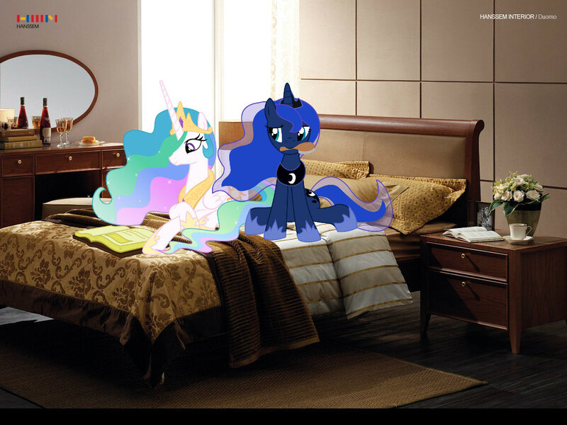 Size: 1024x768 | Tagged: artist:discordfan, bed, bedroom, book, brush, brushie, derpibooru import, mouth hold, ponies in real life, princess celestia, princess luna, reading, safe