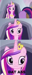 Size: 1144x2616 | Tagged: artist:rodriguez, dat butt, derpibooru import, meme, plot, princess cadance, safe, the ass was fat, twilight sparkle