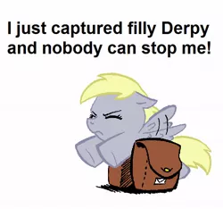 Size: 630x590 | Tagged: arial, bronybait, caption, derpibooru import, derpy hooves, filly, filly derpy, image macro, mailbag, meta, safe, text, younger