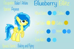 Size: 4487x3000 | Tagged: safe, artist:blueblitzie, derpibooru import, oc, oc:blueberry blitz, unofficial characters only, pegasus, pony, reference sheet, solo