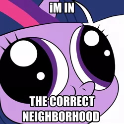 Size: 894x894 | Tagged: safe, derpibooru import, twilight sparkle, caption, correct neighborhood, hey you, image macro, wrong neighborhood