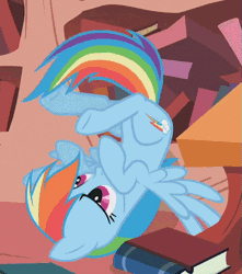 Size: 509x576 | Tagged: safe, derpibooru import, screencap, rainbow dash, pegasus, pony, dragonshy, animated, annoyed, blinking, book, cute, female, frown, gif, glare, golden oaks library, horses doing horse things, image, irritated, legs in air, library, mare, on back, rainbow crash, solo, spread wings, tail, tail flick, unamused, underhoof, upside down, wings