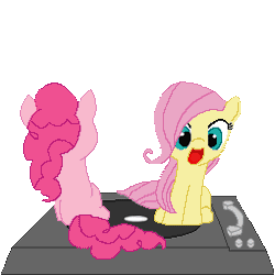 Size: 255x255 | Tagged: safe, artist:tomdantherock, derpibooru import, fluttershy, pinkie pie, pony, animated, cute, filly, gif, ponyspin, record player, spin, spinning, turntable pony, weapons-grade cute, you spin me right round