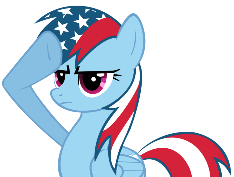 Size: 1024x773 | Tagged: derpibooru import, rainbow dash, rainbow dash salutes, safe, salute, united states