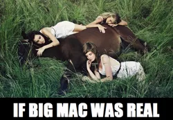 Size: 640x442 | Tagged: barely pony related, big macintosh, big macintosh gets all the ladies, derpibooru import, horse, human, implied bestiality, implied interspecies, irl, irl human, photo, safe, sleeping, swag