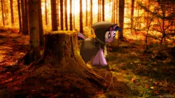 Size: 1280x720 | Tagged: artist:colorfulbrony, clover the clever, derpibooru import, forest, irl, photo, ponies in real life, safe, scrunchy face, twilight sparkle