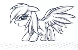 Size: 600x386 | Tagged: artist:fajeh, blushing, derpibooru import, lineart, monochrome, presenting, rainbow dash, safe, solo, source needed