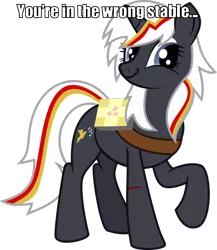 Size: 608x700 | Tagged: safe, derpibooru import, edit, oc, oc:velvet remedy, unofficial characters only, pony, unicorn, fallout equestria, fanfic, blood, faic, fanfic art, female, fluttershy medical saddlebag, horn, mare, medical saddlebag, saddle bag, simple background, smiling, solo, text, transparent background, twiface, wrong neighborhood