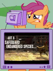 Size: 563x752 | Tagged: call of juarez, chicken, derpibooru import, exploitable meme, safe, scootachicken, scootaloo, tv meme