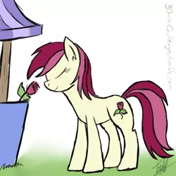 Size: 800x800 | Tagged: safe, artist:tomazii7, derpibooru import, roseluck, 30 minute art challenge, rose