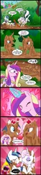 Size: 663x2797 | Tagged: safe, artist:madmax, derpibooru import, fleur-de-lis, princess cadance, shining armor, alicorn, pony, unicorn, accidental shipping, angry, black sclera, blushing, comic, exclamation point, eye contact, eyes closed, female, fire, fleurarmor, funny, glowing eyes, gone horribly right, grin, heart, interrobang, kissing, love spell, male, mare, mud, open mouth, question mark, rage, shining armor gets all the mares, shipping, slice of life, smiling, stallion, this will end in a night on the couch, this will end in pain and/or death