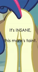 Size: 364x690 | Tagged: safe, derpibooru import, edit, edited screencap, screencap, bon bon, sweetie drops, pony, butt, caption, featureless crotch, female, mare, mr show with bob and david, out of context, plot, solo, taint, vulgar