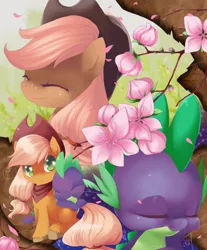 Size: 2150x2600 | Tagged: dead source, safe, artist:loyaldis, derpibooru import, applejack, spike, dragon, pony, applespike, cherry blossoms, cute, eyes closed, flower, flower blossom, heart eyes, unshorn fetlocks, wingding eyes