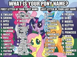 Size: 625x463 | Tagged: safe, derpibooru import, applejack, fluttershy, pinkie pie, rainbow dash, rarity, twilight sparkle, game, image macro, name, name game