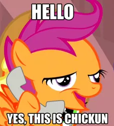 Size: 444x490 | Tagged: chickun, derpibooru import, image macro, safe, scootachicken, scootaloo, yes this is dog