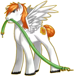 Size: 476x485 | Tagged: derpibooru import, hose, oc, oc:flash fire, safe, solo, tail wrap, unofficial characters only, unshorn fetlocks