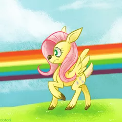 Size: 700x700 | Tagged: artist:dotoriii, deer, deerified, flutterdeer, fluttershy, rainbow trail, safe, species swap