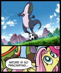 Size: 397x473 | Tagged: ball, derpibooru import, dinosaur, exploitable meme, football, idw, inazuma eleven, inazuma eleven go, inazuma eleven go chrono stone, meme, nature is so fascinating, safe, troodon, wat