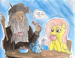 Size: 900x705 | Tagged: safe, artist:raph13th, derpibooru import, fluttershy, human, pegasus, pony, dialogue, drugs, female, human male, lidded eyes, lord of the rings, male, mare, radagast, radagast the brown, speech bubble, tea
