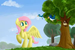 Size: 1280x853 | Tagged: safe, artist:zokkili, derpibooru import, fluttershy, bird, pegasus, pony, bird house, cloud, female, grass, mare, open mouth, sky, solo, tree