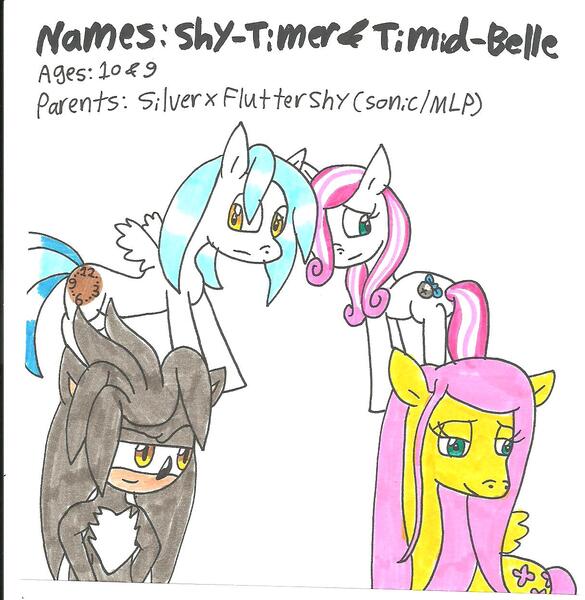 Size: 1216x1248 | Tagged: artist:cmara, crossover, crossover shipping, derpibooru import, female, fluttershy, hybrid, interspecies, interspecies offspring, male, oc, oc:shy-timer, oc:timid-belle, offspring, parent:fluttershy, parent:silver the hedgehog, parents:silvershy, safe, shipping, silvershy, silver the hedgehog, sonic the hedgehog (series), straight, traditional art