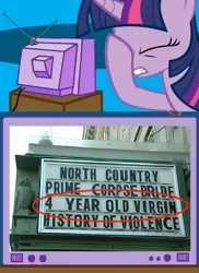 Size: 562x771 | Tagged: safe, derpibooru import, twilight sparkle, exploitable meme, facehoof, fail, meme, sign, the 40 year old virgin, the 4 year old virgin, tv meme