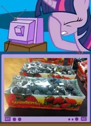Size: 561x771 | Tagged: blueberries, derpibooru import, exploitable meme, facehoof, fail, meme, safe, seems legit, strawberries, tv meme, twilight sparkle, you had one job